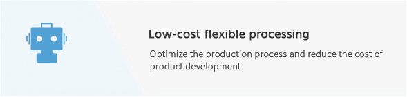 Low cost flexible processing